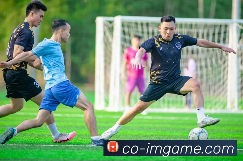 IM电竞官网服务体系